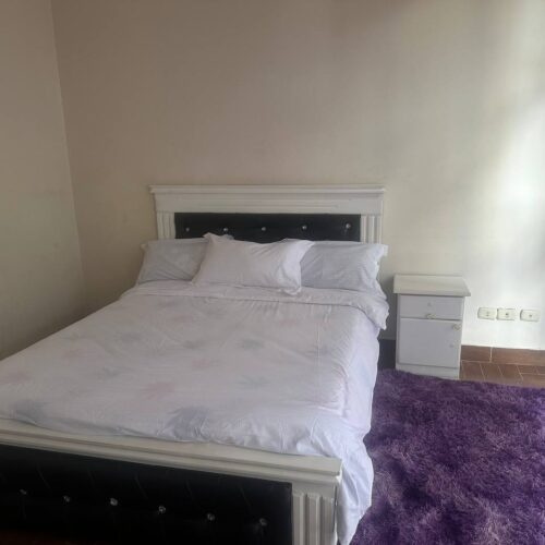 Standard  Single Room