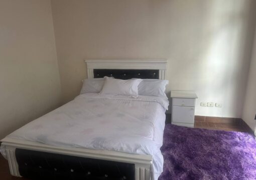 Standard  Single Room